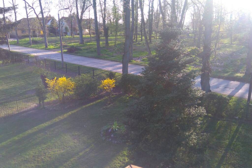 Blick vom Balkon