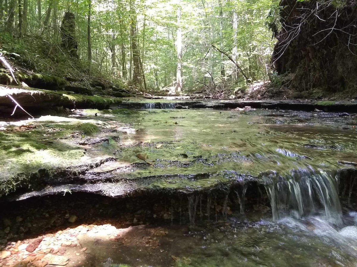 A serene creek flows over smooth rocks, surrounded by lush greenery and tall trees. Sunlight filters through the canopy, creating a gentle glow on the water's surface. The sound of trickling water can be imagined in this tranquil natural setting.