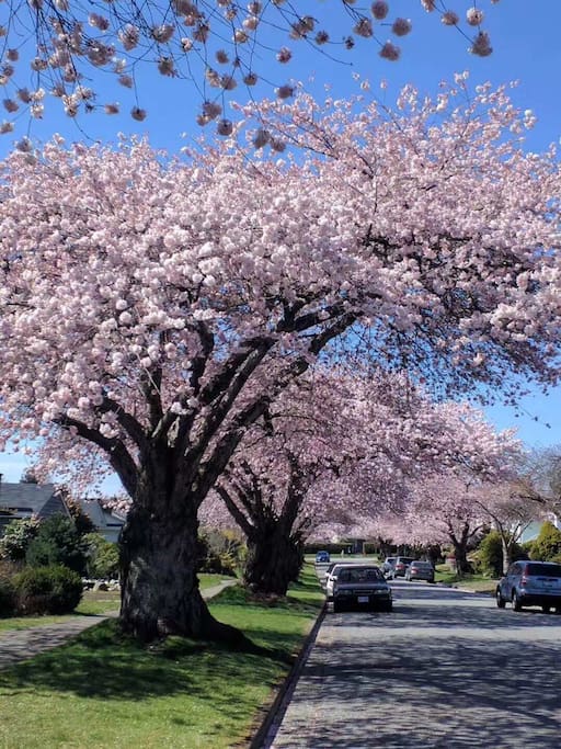 Environment nearby in April