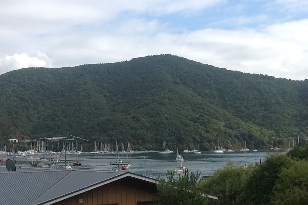 View from your patio