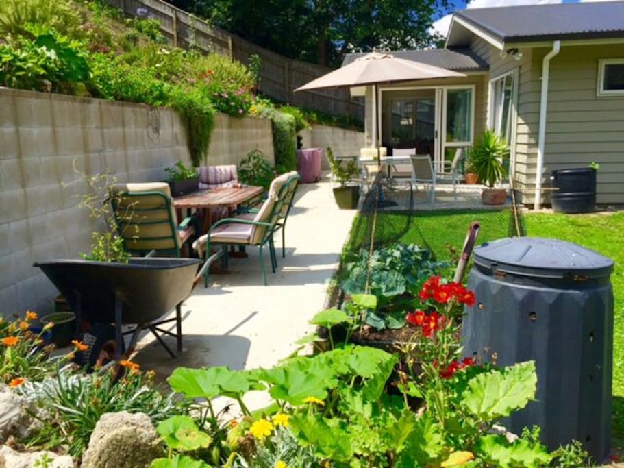 Back patio