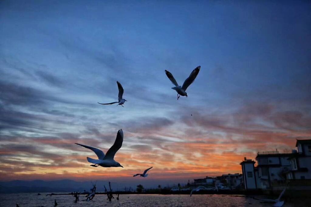 洱海日出