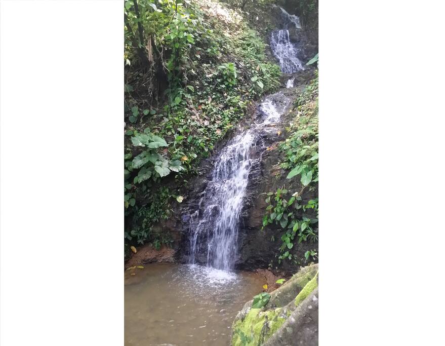 Private waterfall only 22 steps from the Main house