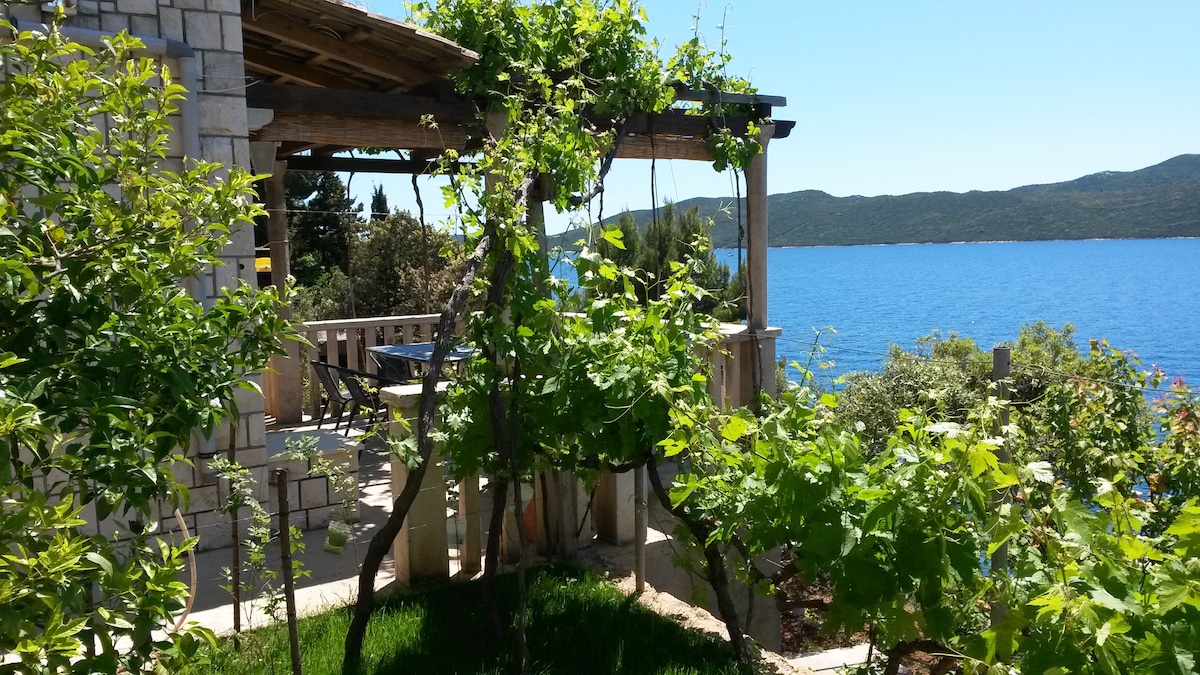 A terrace area is surrounded by lush greenery, with climbing vines providing shade. The blue sea stretches in the background, framed by distant hills. Wooden furniture is arranged for outdoor dining, creating a serene environment perfect for relaxation.
