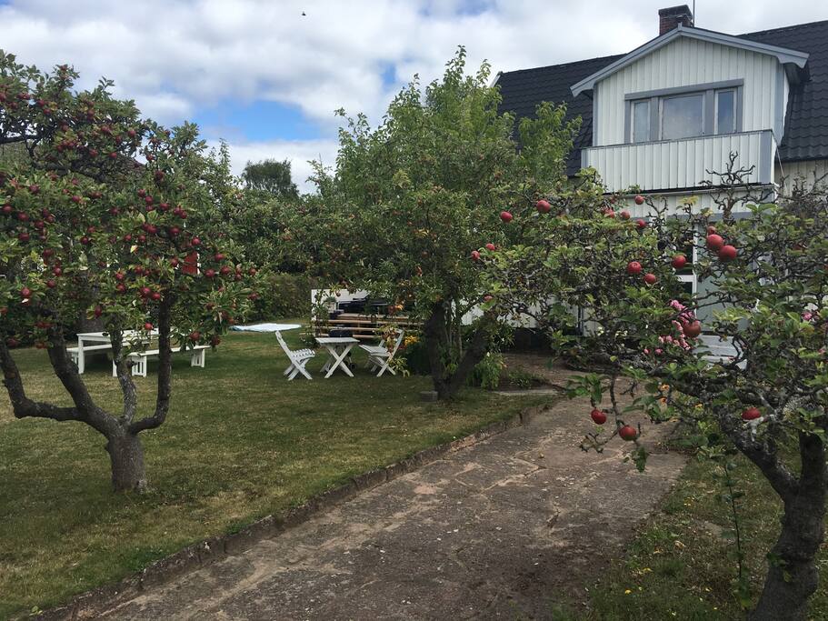 Garden in front of the house