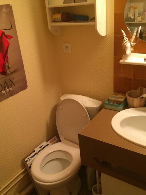 Toilettes (dans la salle de bain)