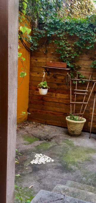 Backyard courtyard.