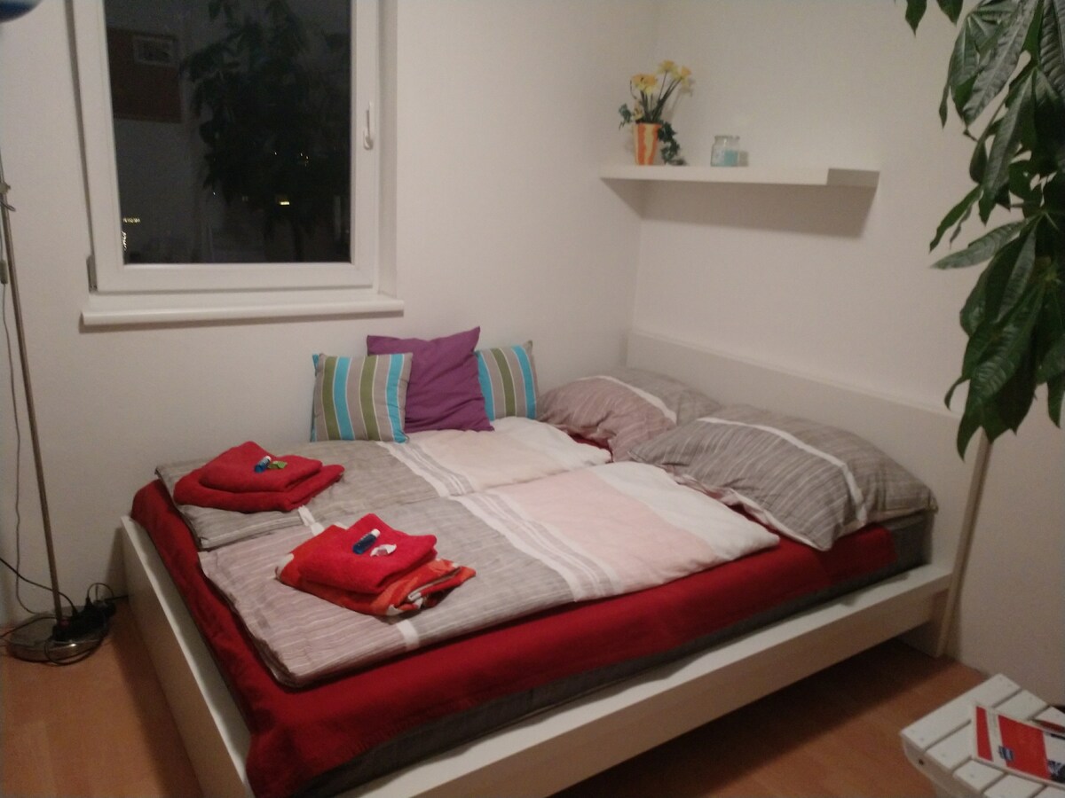 A cozy sleeping area is shown with a spacious bed adorned with neatly arranged towels. The light-colored bedding contrasts with a vibrant red blanket, while decorative pillows add a touch of colour. A window offers natural light, complemented by a plant in the corner.