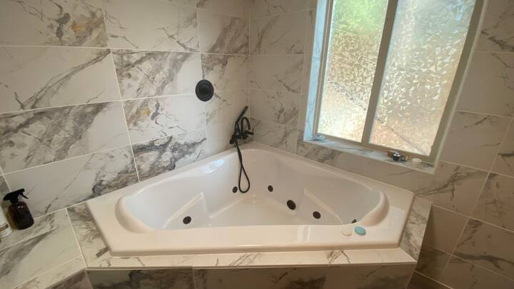 Modern BSMNT Suite W/Jacuzzi Tub