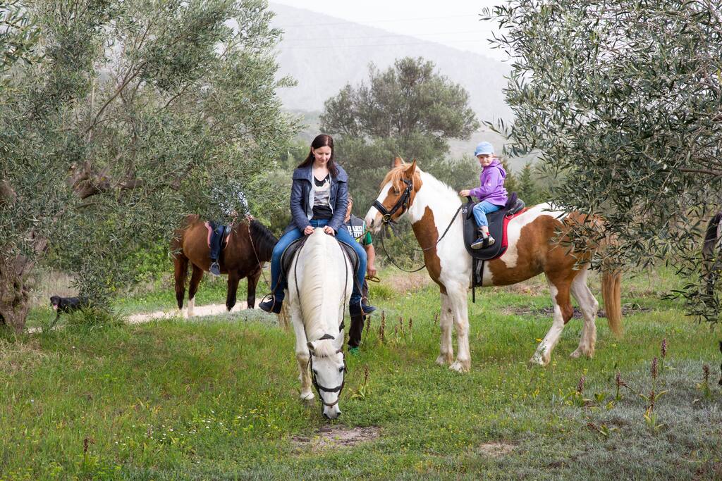 Horse Riding in Nature