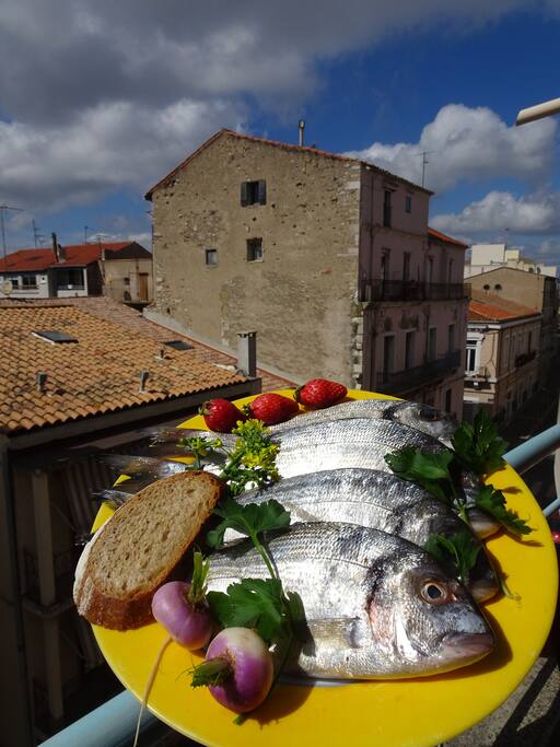 La pêche à portée d'assiette