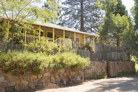 Fivespot Cabin: natural art retreat