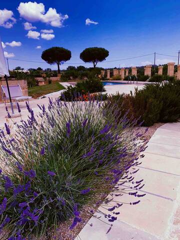 Villa La Sita, oasi di pace nel cuore del Salento gallery image 4