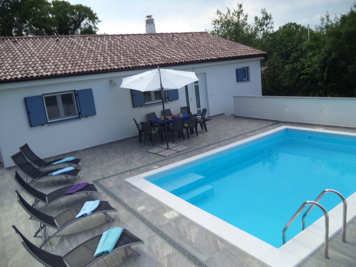 A spacious outdoor terrace surrounds a clear blue pool, featuring several lounge chairs and a shaded dining area under a large umbrella. The house displays light-colored walls with blue shutters, and greenery lines the background, adding a touch of nature.