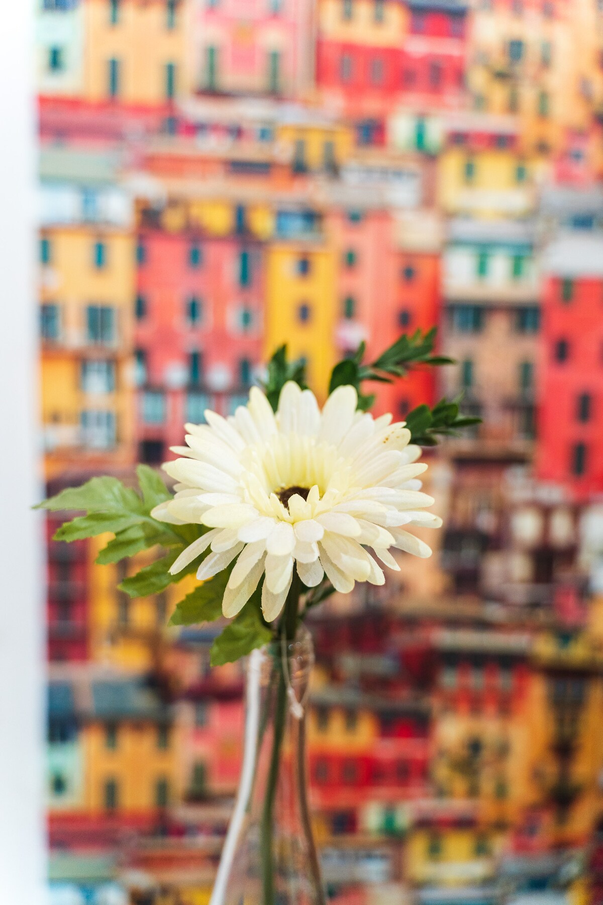 A single white flower placed in a clear glass vase is visible in the foreground. Behind it, a colorful background features a lively arrangement of buildings in shades of red and yellow, creating a vibrant and cheerful setting.