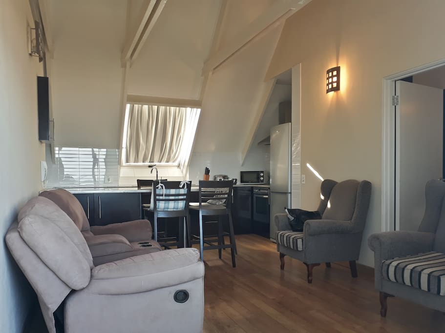 Open plan lounge and kitchen