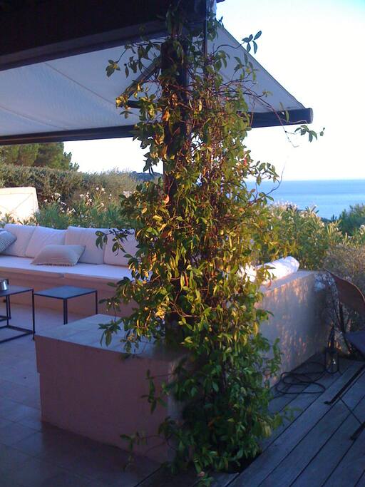 Vue sur la terrasse du salon