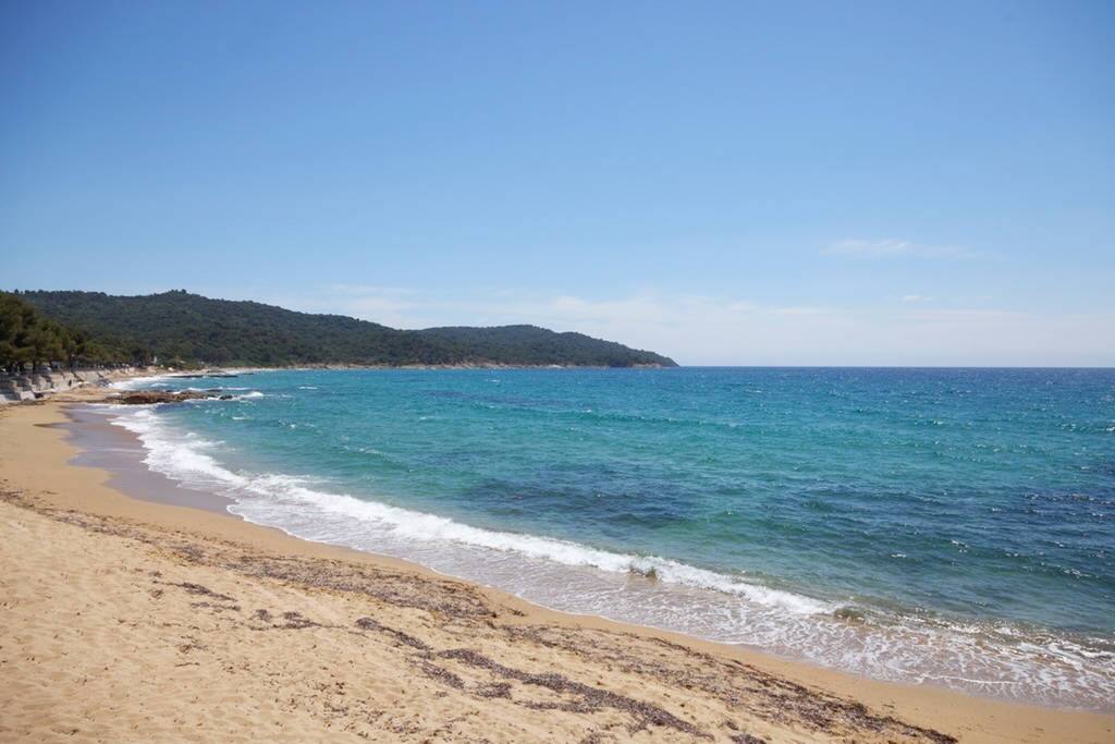 Beach in front of the house