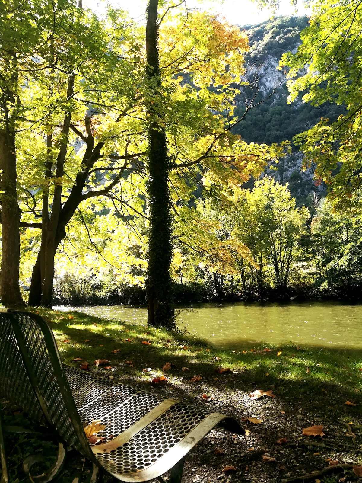 A serene riverside scene features a metal bench set against a backdrop of vibrant autumn foliage. Trees with lush green and yellow leaves encircle the calm water, reflecting the natural beauty of the surrounding landscape with gentle hills in the distance.