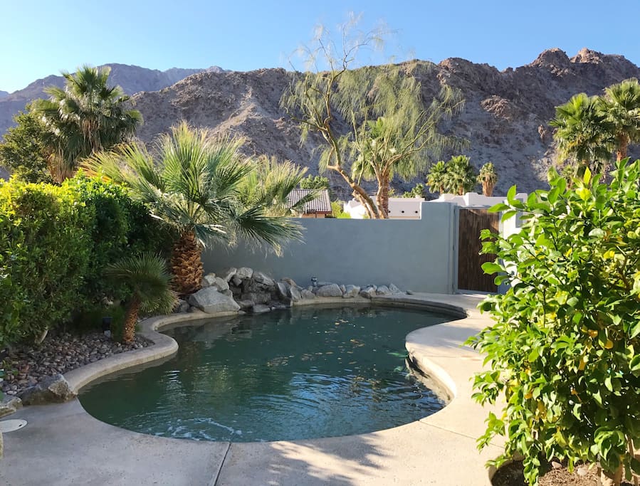 Private courtyard with pool, lush landscaping and sweeping mountain views.