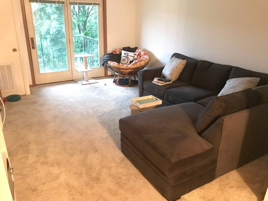 Living room and balcony
