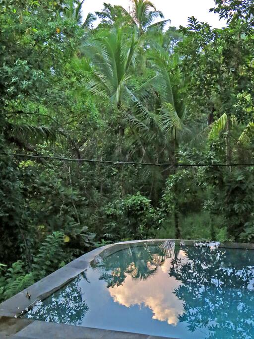 ...reflects the unspoiled natural beauty that surrounds it