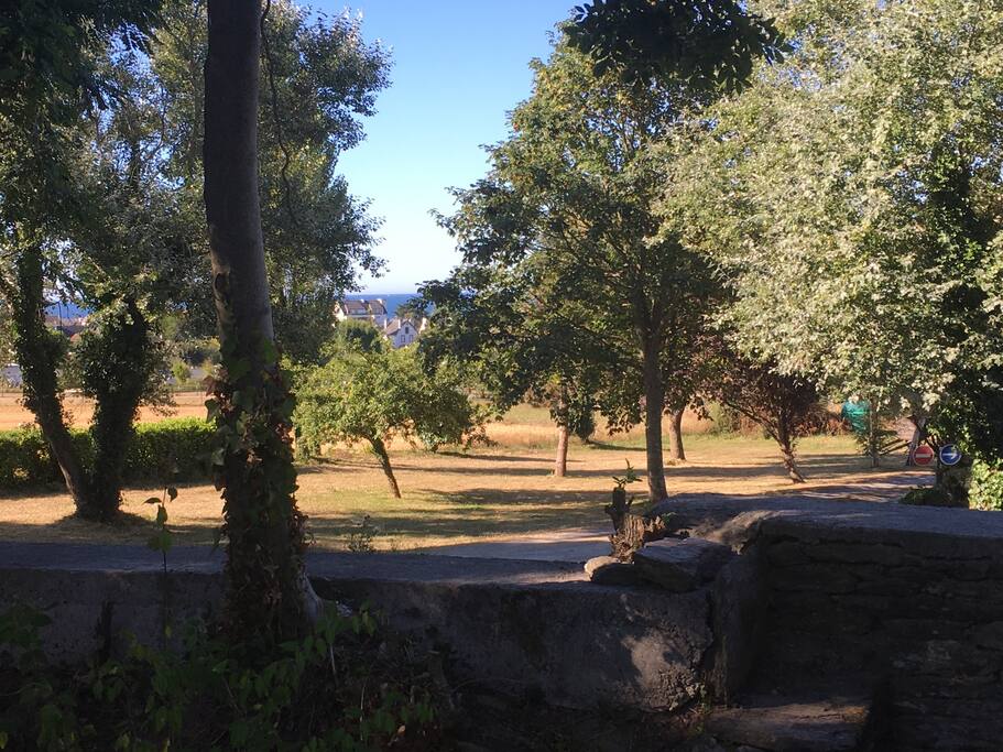 Vue du jardin