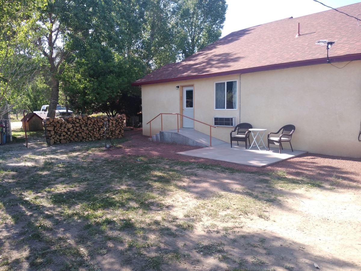 A quiet outdoor area features a concrete patio with two chairs and a small table, providing a space to relax. Nearby, a stack of firewood and tree foliage create a natural setting, while the structure of the studio is seen in the background under a clear sky.
