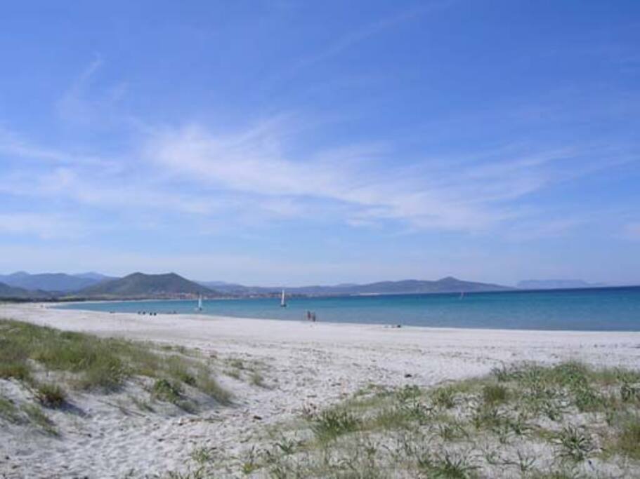 Spiaggia