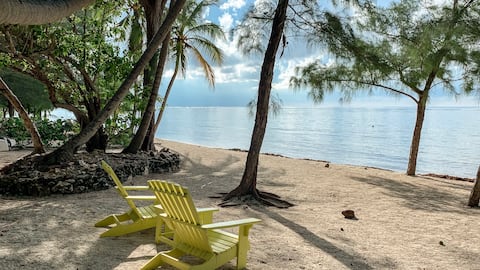 Condo And Apartment Vacation Rentals In Grand Cayman Airbnb