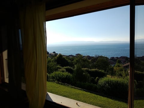 The house of happiness