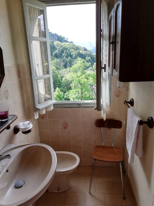 salle d'eau vue sur la chataigneraie