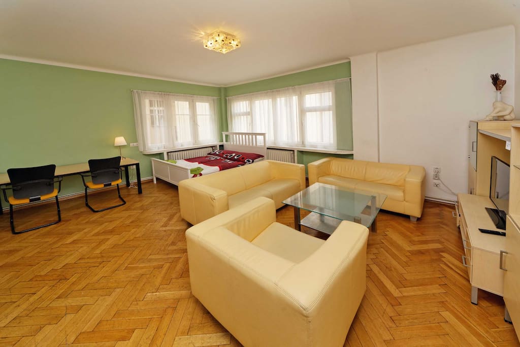 living room / bedroom