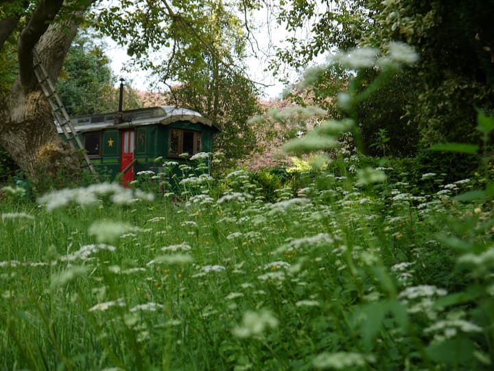 vintage showmans caravan near York