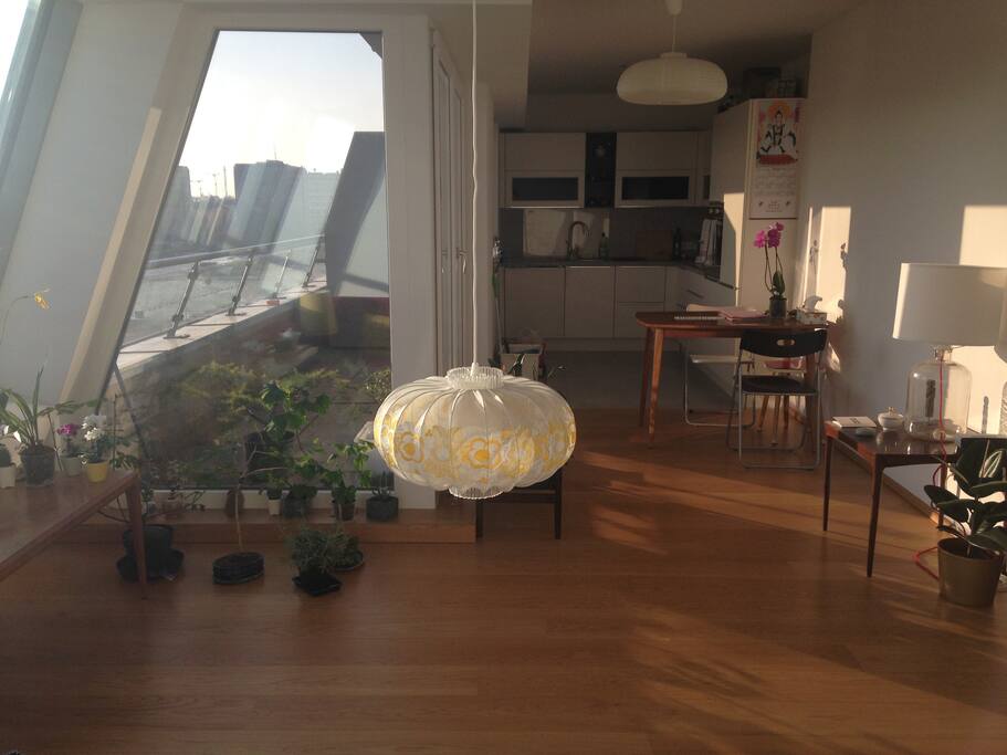 wohnküche und östliche terrasse