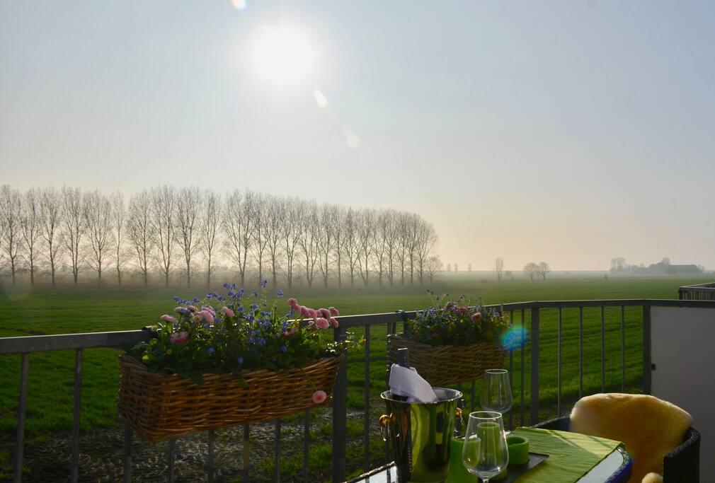 Deichblick