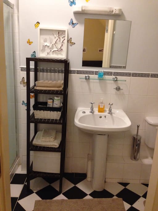 Modern bathroom with own shower