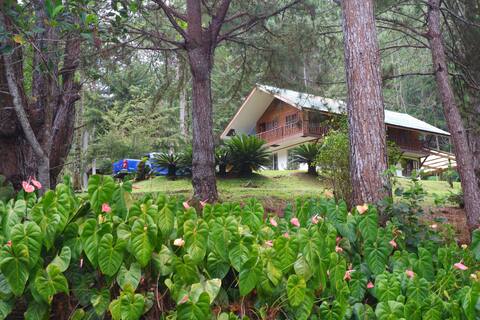 Moss & Grove charming family cabin in Kapatagan