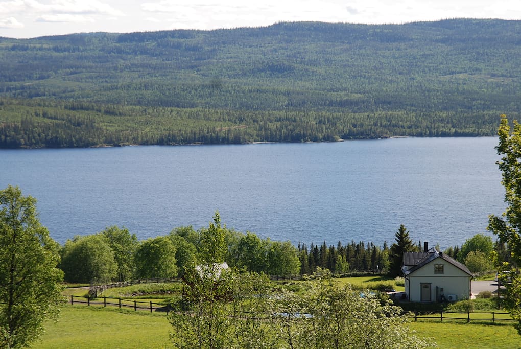 The Guestflat