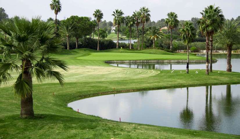 Tropical Azteca Oasis