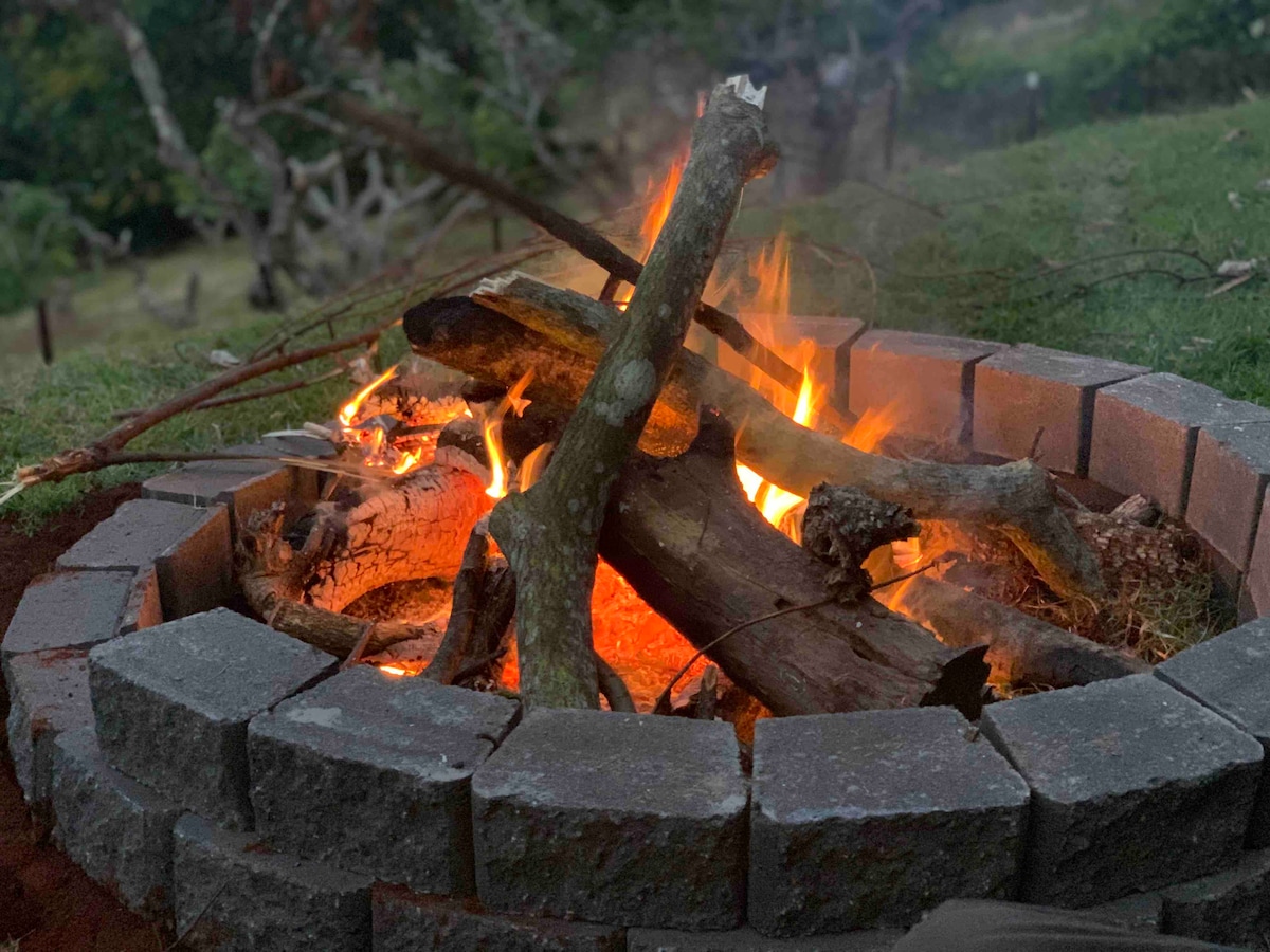 A stone fire pit is surrounded by a circular arrangement of bricks, with flames dancing over logs and twigs. The glowing embers provide warmth, set against a backdrop of green grass and trees. The area is designed for evening gatherings.