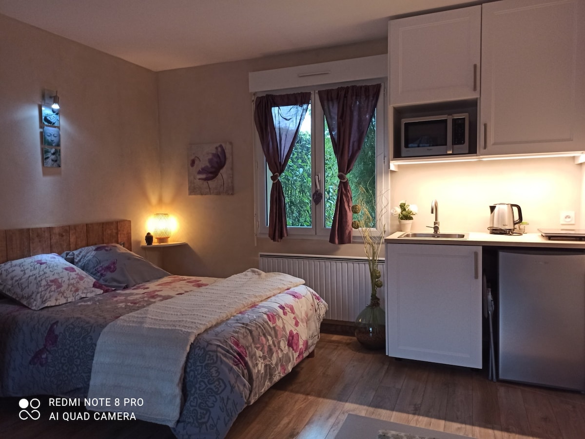 A cozy studio space features a floral-patterned bedspread over a spacious bed. Natural light filters in through a window, illuminating the kitchenette with built-in appliances and a kettle. A small decorative plant adds a touch of nature to the inviting atmosphere.