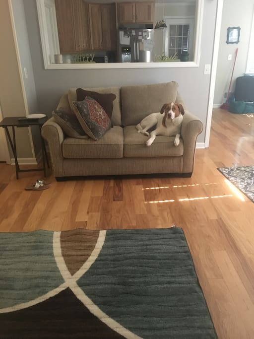 Couches deep cleaned prior to guest arrival, and dogs boarded during stay (unless you want furry cuddles!).
