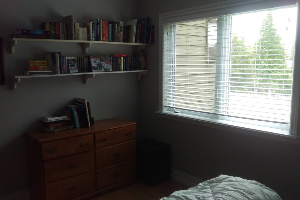 room view from head of bed