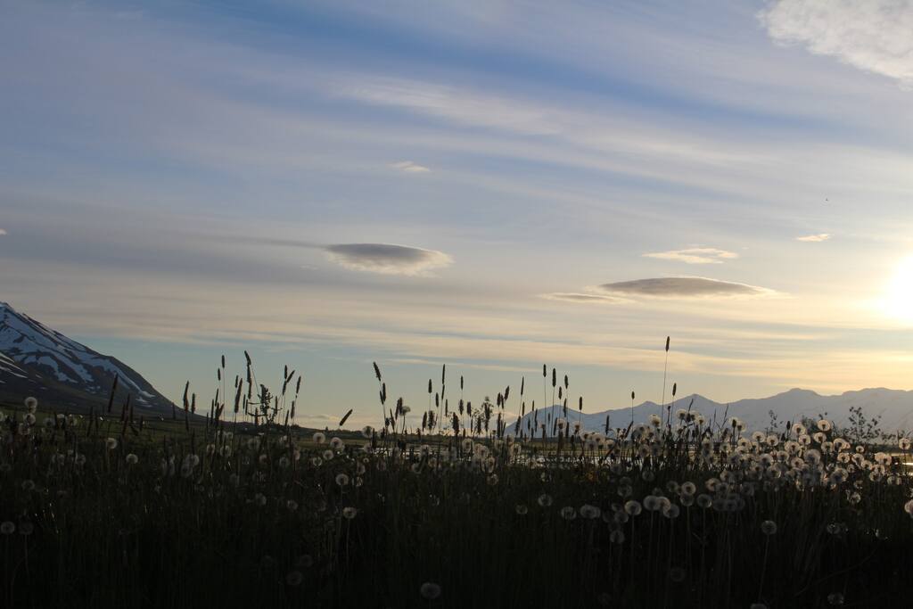 The view facing the ocean (north)