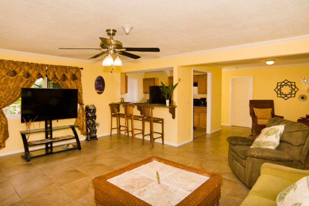 Common Living Room