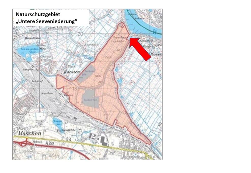 Direkt am Naturschutzgebiet und der Elbe gelegen