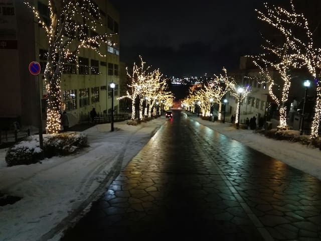 C hakodate sightseeing good location pickup  ok