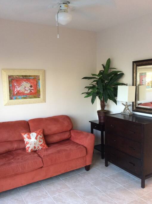Bonus room with sofa sleeper