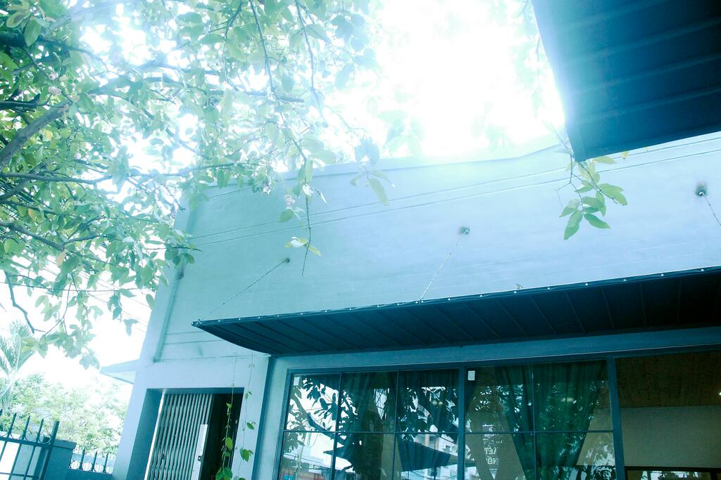 outside